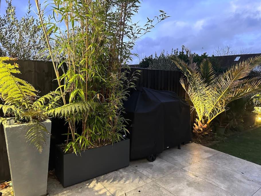 Northbourne House Villa Фърндаун Екстериор снимка
